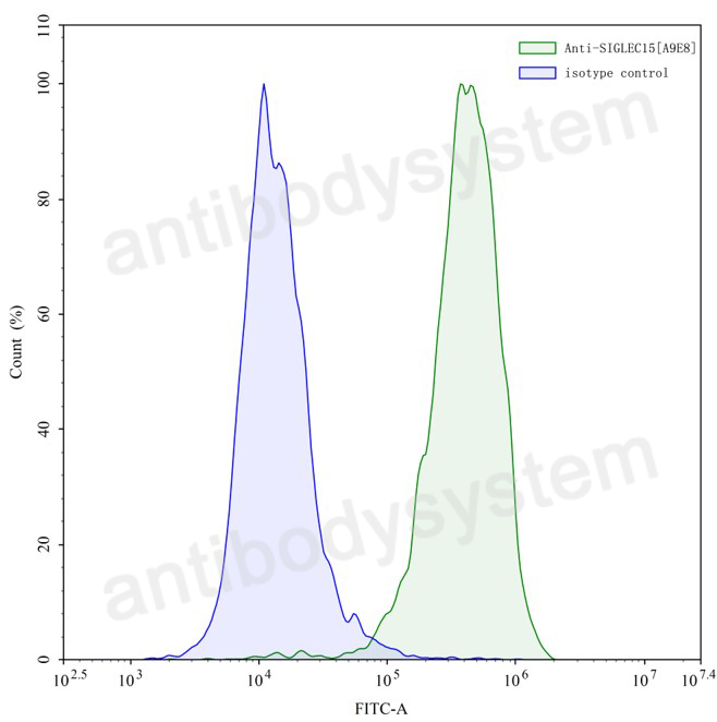 Anti-Human SIGLEC15/CD33L3 Antibody (A9E8)